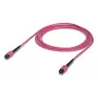 Ubiquiti UACC-OFC-MA-MPMP-3M MPO/UPC šviesolaidinis kabelis 3 m OM4