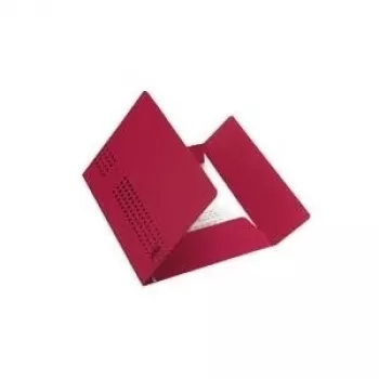 CHIC dokumentų aplankas BORDEAUX 25 vnt. (31477BX New: 100091171)