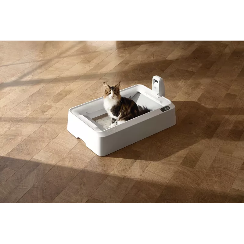 Savaime išsivalantis katino tualetas PETKIT T7-EU, baltas