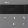 Gira RTR Display Antracitas 539328