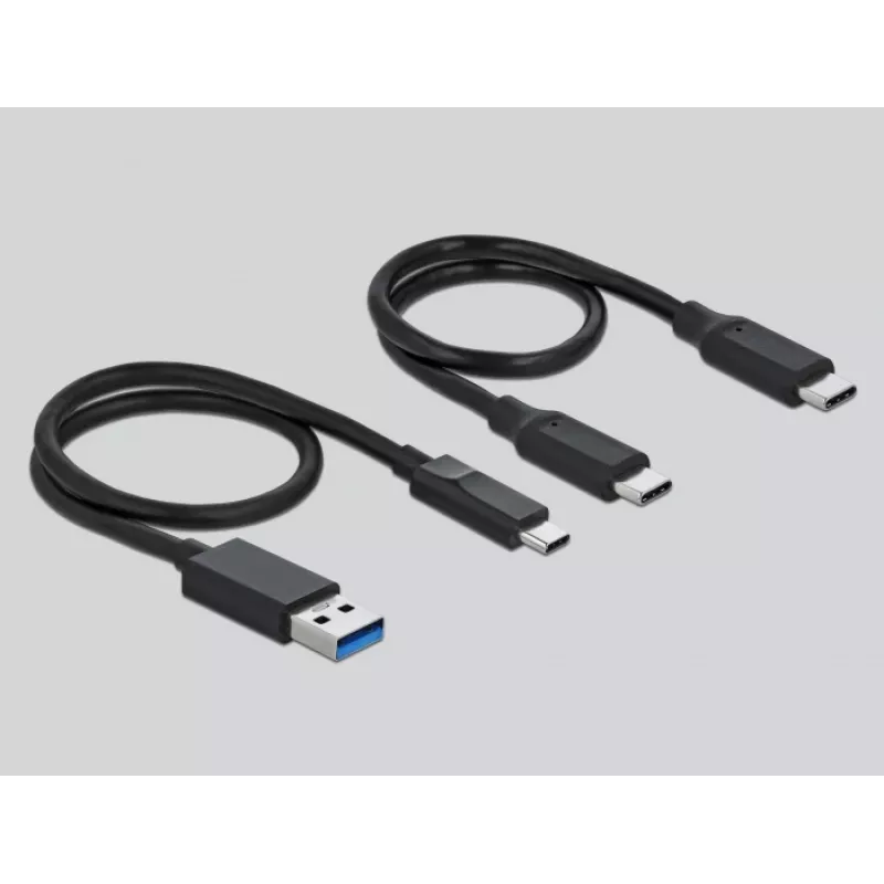 Card Reader DeLOCK USB Type-C, skirtas CFast SD ir USB Hub