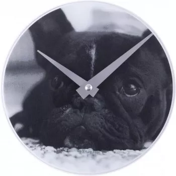 NeXtime klok 5173 Little Dog, sieninis, Ø20 cm, juodas