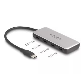 DeLOCK 64261 USB 3.2 Gen 1 Type-C šakotuvas 10000 Mbit/s juoda pilka