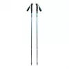 BLACK DIAMOND DISTANCE CARBON TREKKING LAZDOS, 115 CM - DYKUMOS DANGUS