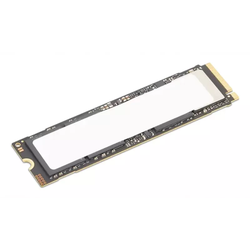 Lenovo 4XB1S30112 vidinis kietasis diskas 1 TB M.2 PCI Express 5.0 NVMe