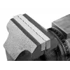 Pasukamas šaltkalvio spaustuvas NEO tools 100 mm 360° (model 35-030)