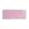 Glorious PC Gaming Race GMMK ABS Doubleshot V2 UK pagrindinis rinkinys - rožinis (GLO-KC-ABS-UKKIT-P)