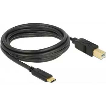 USB laidas DeLOCK 83666 USB 2.0 3m USB C USB B juodas