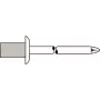 Aklasis kniedė GESIPA 4×8,0 mm Al/A2 CAP Standard, 500 vnt.