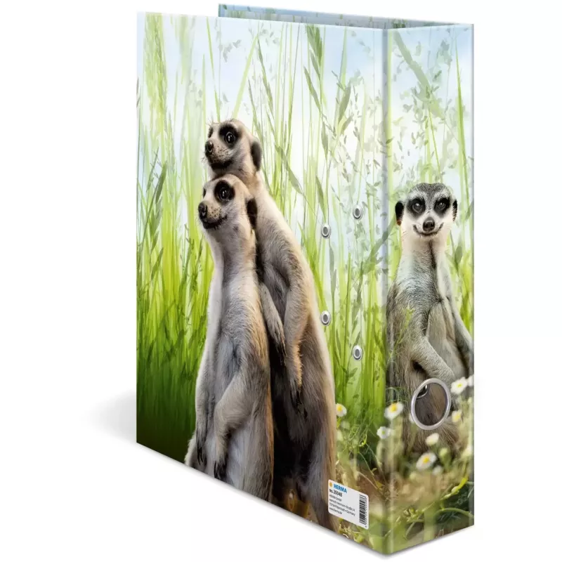 Segtuvas HERMA 20048 A4 D-žiedas spalvotas kartoninis