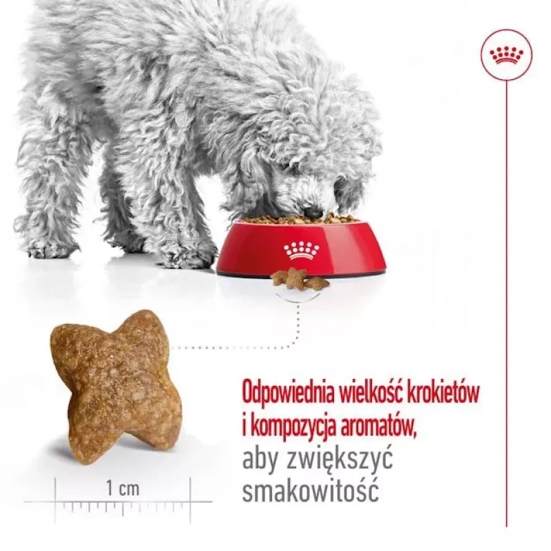 ROYAL CANIN Adult Mini S - sausas šunų ėdalas - 2kg