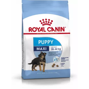 Royal Canin SHN Maxi Puppy – sausas ėdalas šuniukams – 4 kg
