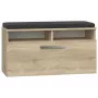 Uždara batų spintelė Top e Shop RIVA SZAFKA SONOMA ąžuolo spalvos, 850×460 mm, 16 mm medžio drožlių plokštė