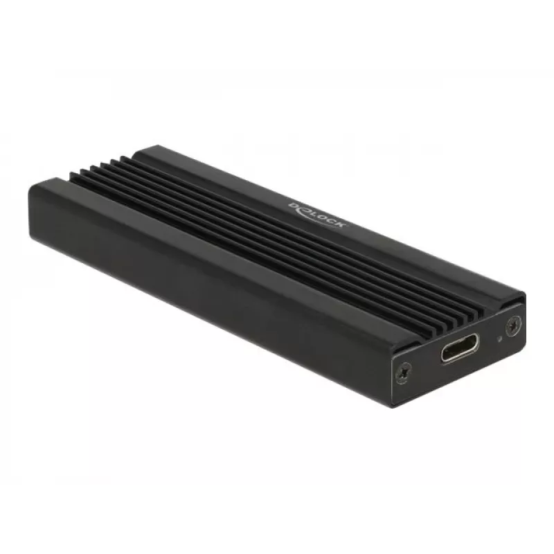 Kortelė DeLOCK 42600 USB 3.2 Gen 1 M.2 NVMe SSD dėklas