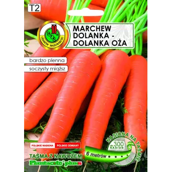 Apte Marchew Dolanka 6 m juosta su Platnacote trąšomis — vėlyvoji veislė
