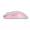 Belaidė pelė Baracuda BGM-124 Turtle Pink TURTLE-P