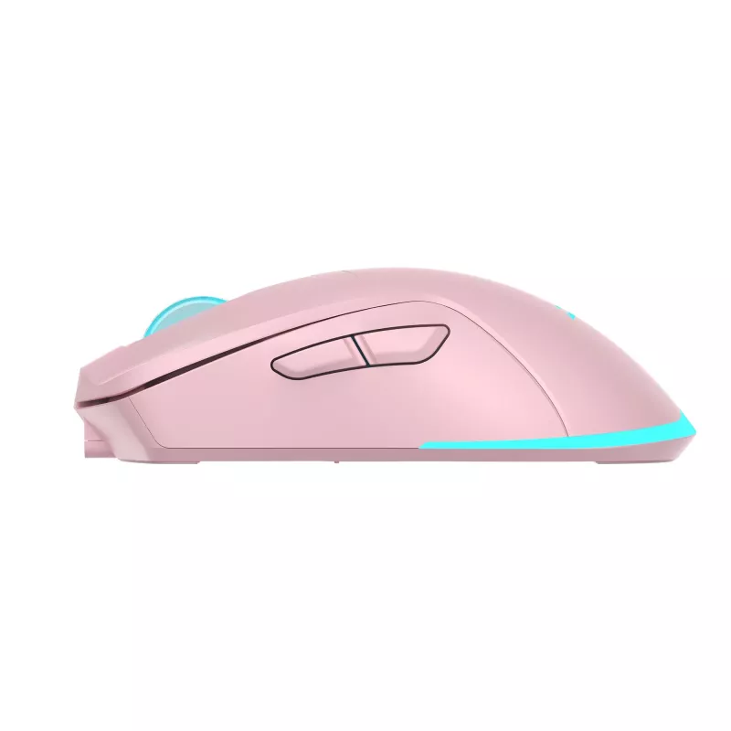 Belaidė pelė Baracuda BGM-124 Turtle Pink TURTLE-P