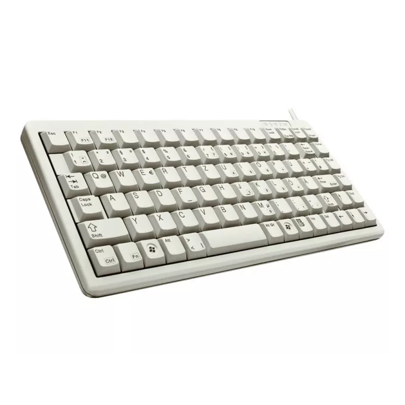 CHERRY G84-4100 klaviatūra universali USB QWERTZ pilka