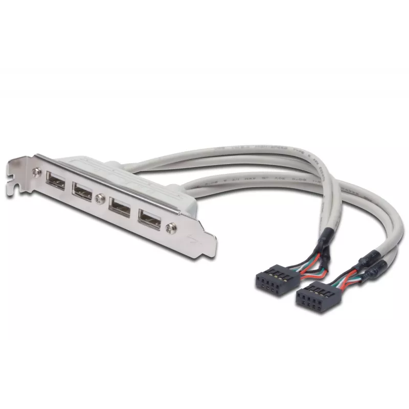 Laikiklio juostelė USB 2.0 HighSpeed 2xIDC (5pin)/4xUSB A M/F Pilka 0.25m