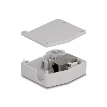 DeLOCK DIN rail adapteris RJ45 lizdas į RJ45 lizdą Cat.6A Pilka