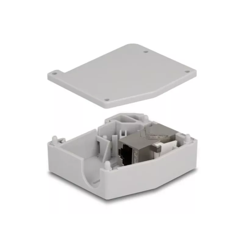 DeLOCK DIN rail adapteris RJ45 lizdas į RJ45 lizdą Cat.6A Pilka