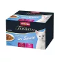 animonda Vom Feinsten Kitten Raffinesse padaže šlapi kačių pašarai 24x85 g