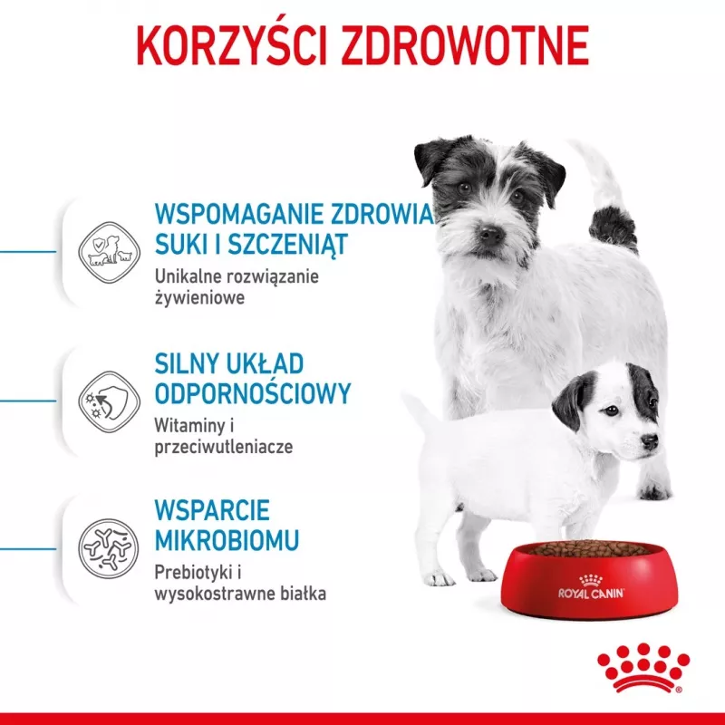 Sausas šunų ėdalas Royal Canin Starter Mother & Babydog 1 kg — Vištiena, 30% baltymų, 22% riebalų