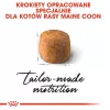 Sausas ėdalas katėms Royal Canin Maine Coon Adult 10 kg – paukštiena (vištiena), 31% baltymų, 20% riebalų