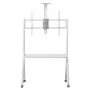 Grindinis stovas televizoriui MACLEAN MC-114 W, 55–100 colių, baltas, VESA iki 900x600, maks. apkrova 120 kg, aukštis 115–152 cm, lentyna