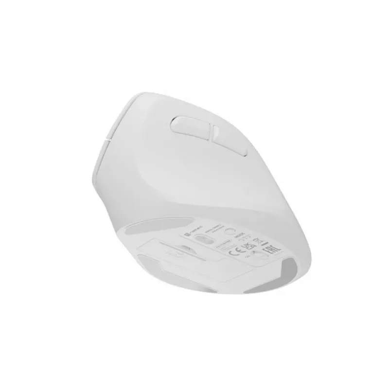 NATEC Crake 2 pelė universali Dešiniajai rankai RF belaidė + Bluetooth optinė 2400 DPI