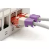 Spalvų kodavimo segtukas Digitus Color clips Patch kabeliui A-CC-VI PVC Violetinis