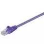 Wentronic 95240-GB Ethernet Patch Cable