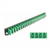 DeLOCK 19 colių priekinis skydelis splice dėžei 43370 24 prievadų LC Quad žalias