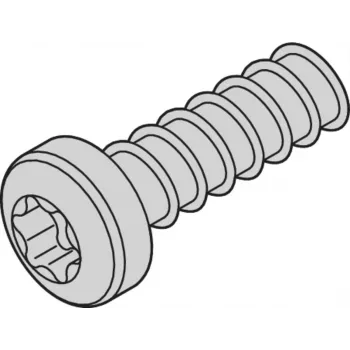 SCHROFF SCREW TORX 2.5X7.3 (100 VNT.) - Stovo aksesuaras (24560157)
