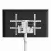 Grindinis TV stovas GEMBIRD TVS-86TR-01-W 37–86 colių televizoriams, baltas, pasukamas ir pakreipiamas, VESA 200x200–600x400, maks. apkrova 50 kg