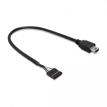 USB kabelis DeLOCK 83170 USB 2.0 0,3 m Mini-USB B juodas