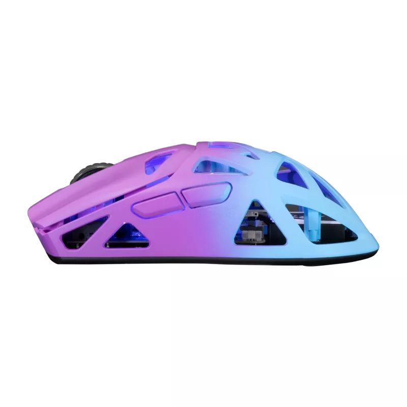 Belaidė pelė White Shark GM-5019 Dagonet Wireless