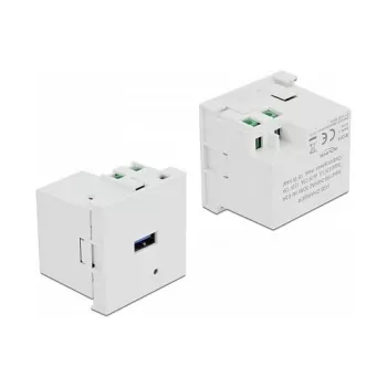 Kištukinis lizdas USB-A DELOCK 81311, baltas, 100–240V, 0,5A, LED maitinimo indikatorius, plastikinis korpusas