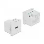 Kištukinis lizdas USB-A DELOCK 81311, baltas, 100–240V, 0,5A, LED maitinimo indikatorius, plastikinis korpusas