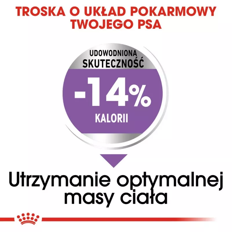 Royal Canin Mini Sterilised sausas maistas suaugusiems mažų veislių šunims po sterilizacijos, 1 kg
