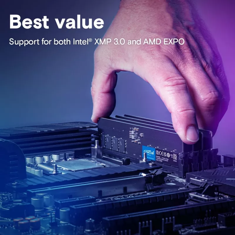 Crucial DDR5 8 GB 5600 MHz atminties modulis