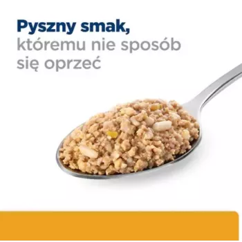 HILL'S PD Canine Urinary Care C/D - šlapias šunų ėdalas - 370g