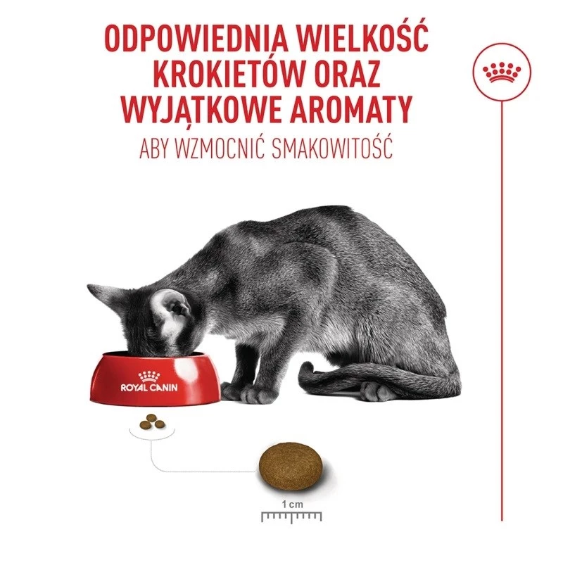 Sausas kačių ėdalas Royal Canin Exigent Fussy 2 kg – išrankios suaugusios katės, paukštienos skonis, 40% baltymų