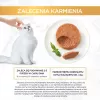 Šlapias kačių ėdalas multipack Purina Nestlé Gourmet Gold Mus Mix 48×85 g skardinių įvairūs skoniai