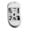 Pulsar X3/SIZE1 balta belaidė optinė pelė PX3R12