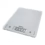 Leifheit 61504 Silver
