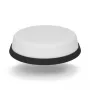 Panorama LPM2W-24-72-2RPSP itin žemo profilio WiFi 5G antena