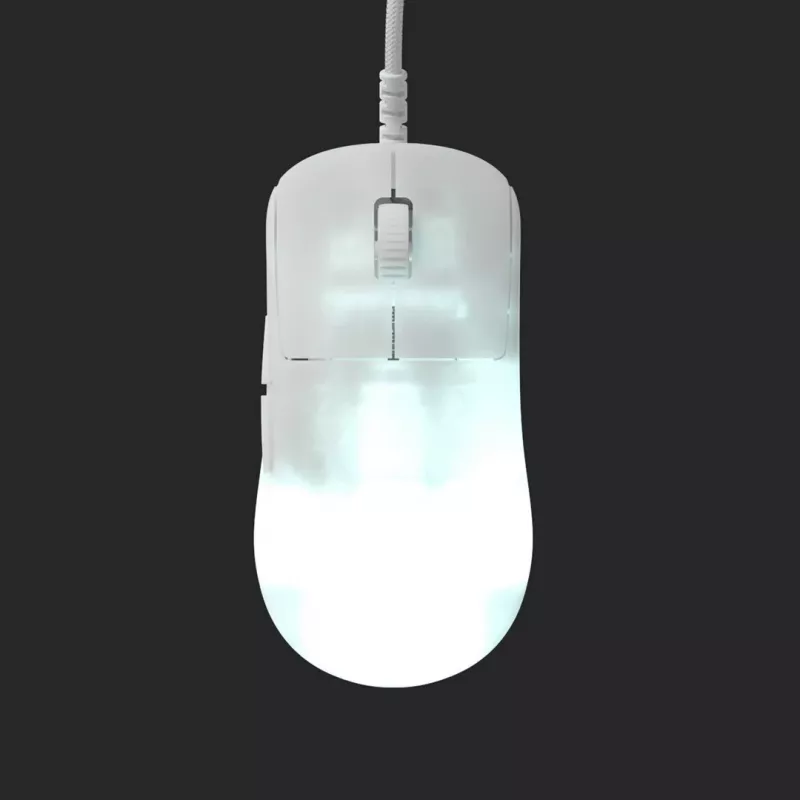 Endgame Gear OP1 RGB žaidimų pelė Dešinei rankai USB Type-A Optinė 26000 DPI