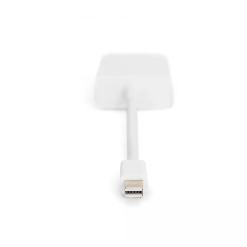 Adapteris DisplayPort Digitus AK-340406-001-W Mini DisplayPort į DVI-D 0,15 m baltas