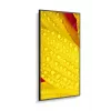 NEC MultiSync M651-2 profesionalus ekranas 65 colių LED 4K Ultra HD 500 cd/m² juodas